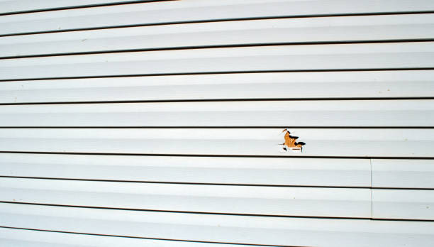 Siding Removal and Disposal in Woodville, WI