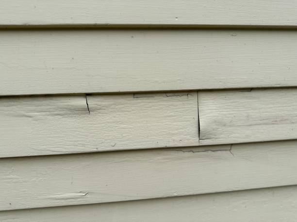 Affordable siding repair and maintenance services in Woodville, WI