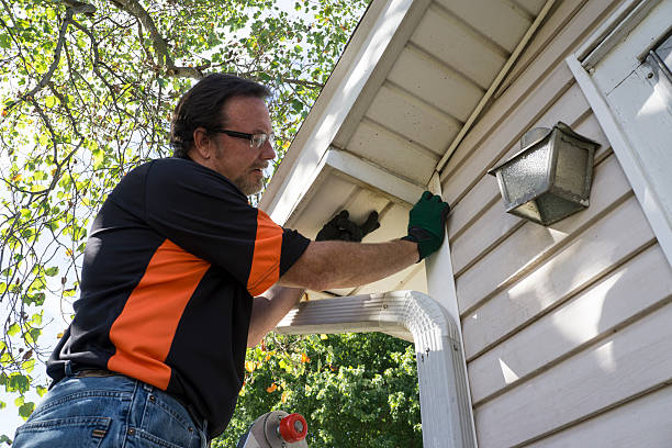 Trusted Woodville, WI Siding Installation & Repair Experts